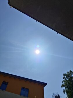 20250613_145342.JPG