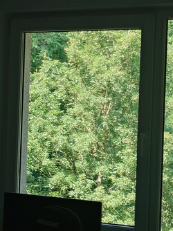 20250613_145044.JPG