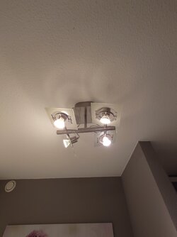 20250613_144916.JPG