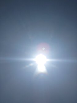 20250613_145352.JPG
