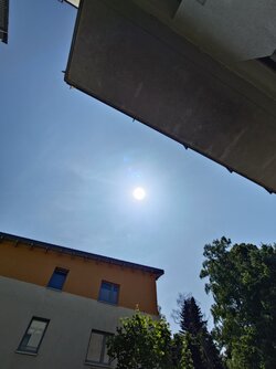 20250613_145338.JPG