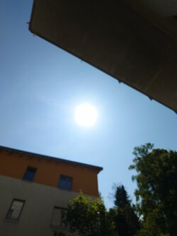 20250613_145313136.JPG