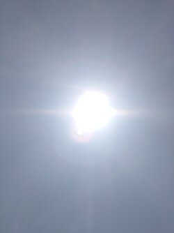20250613_145321251.JPG
