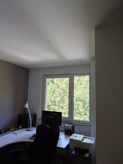 20250613_145015113.JPG