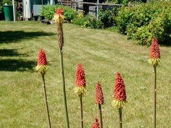 20250613_130902.jpg