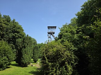 20250613_155537.jpg