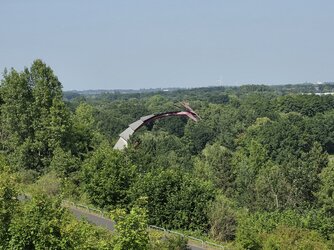 20250613_164711.jpg