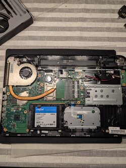 PXL_20250614_081948343.jpg