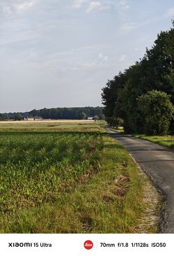 IMG_20250614_081013.jpg