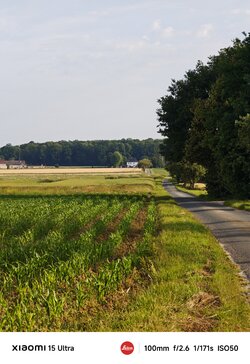 IMG_20250614_081048.jpg