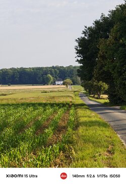 IMG_20250614_081104.jpg