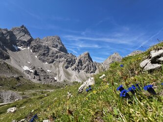 IMG_20250613_105952.jpg