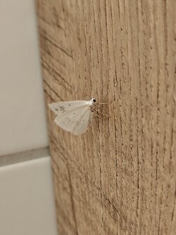 IMG20250615000013~2.jpg