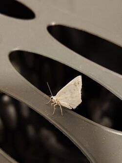 IMG20250614235828~2.jpg