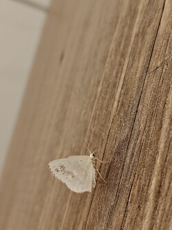 IMG20250615000118~2.jpg
