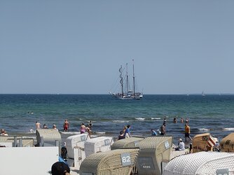 20250614_140801109.JPG