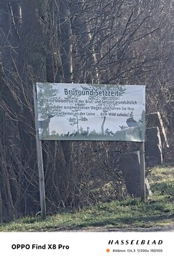 IMG20250313093909.jpg