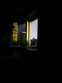 1000000509.jpg