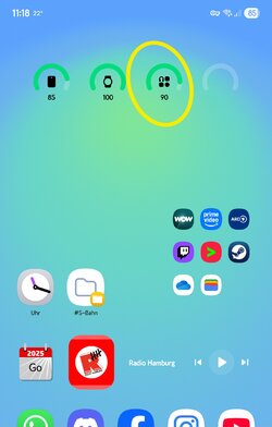Screenshot_20250615_111831_One UI Home.jpg
