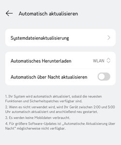 Systemdateienaktualisierung.jpg