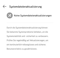 Systemdateienaktualisierung .jpg