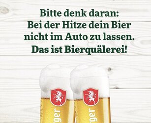 Bier im Auto.jpg