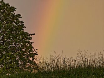20250615-205554-034HX5a.jpg