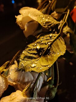 IMG20250616014616~2.jpg