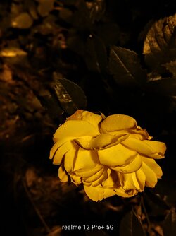 IMG20250616014549~2.jpg