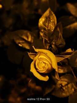 IMG20250616014531~2.jpg