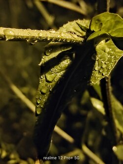 IMG20250616015001~2.jpg