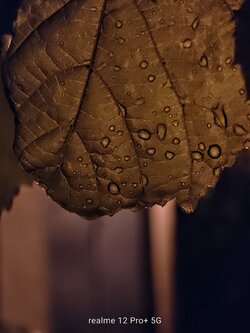 IMG20250616015147~2.jpg