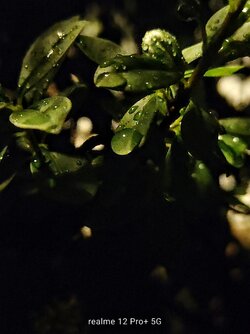 IMG20250616015507~3.jpg