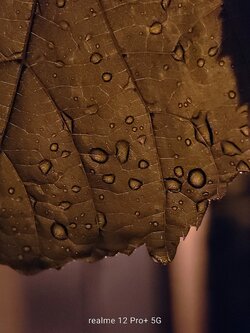 IMG20250616015155~2.jpg