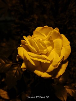 IMG20250616014525~2.jpg