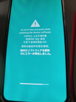 1750044223246.jpg