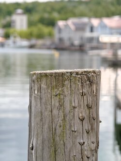 IMG_20250609_125037.jpg