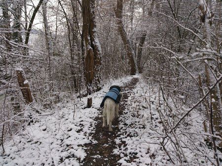 Spaziergang im Schnee.jpg