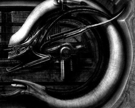 12.02.2013_wallpaper.jpg