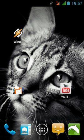 uploadfromtaptalk1360868343658.jpg