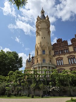 20250616_125155(1).jpg