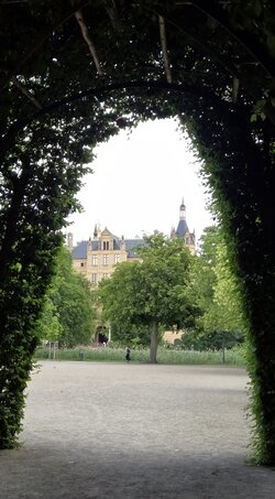 20250616_140659(1).jpg