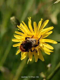 IMG20250616163830~2.jpg