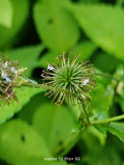 IMG20250616163157~2.jpg