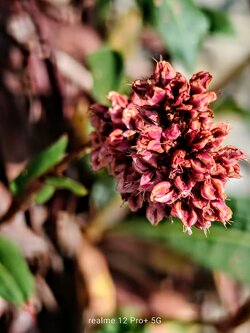 IMG20250616164857~2.jpg