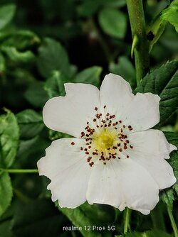 IMG20250616161743~2.jpg