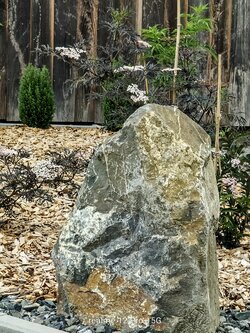 IMG20250616171049~2.jpg