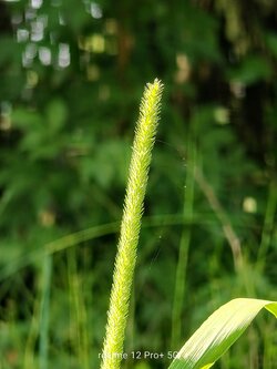 IMG20250616163139~2.jpg