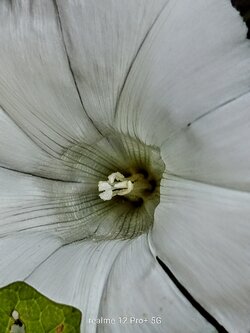 IMG20250616164809~2.jpg