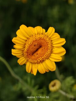 IMG20250616170913~2.jpg